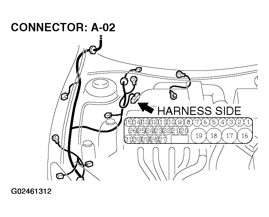 G02461312