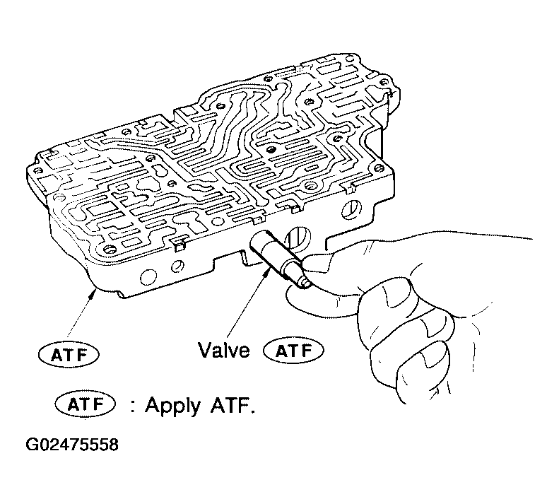 G02475558
