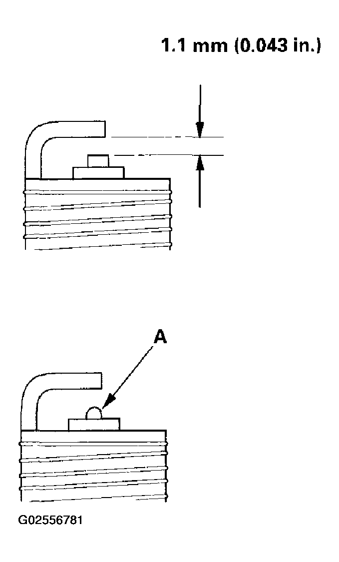 G02556781