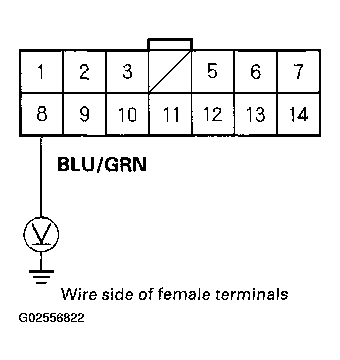 G02556822