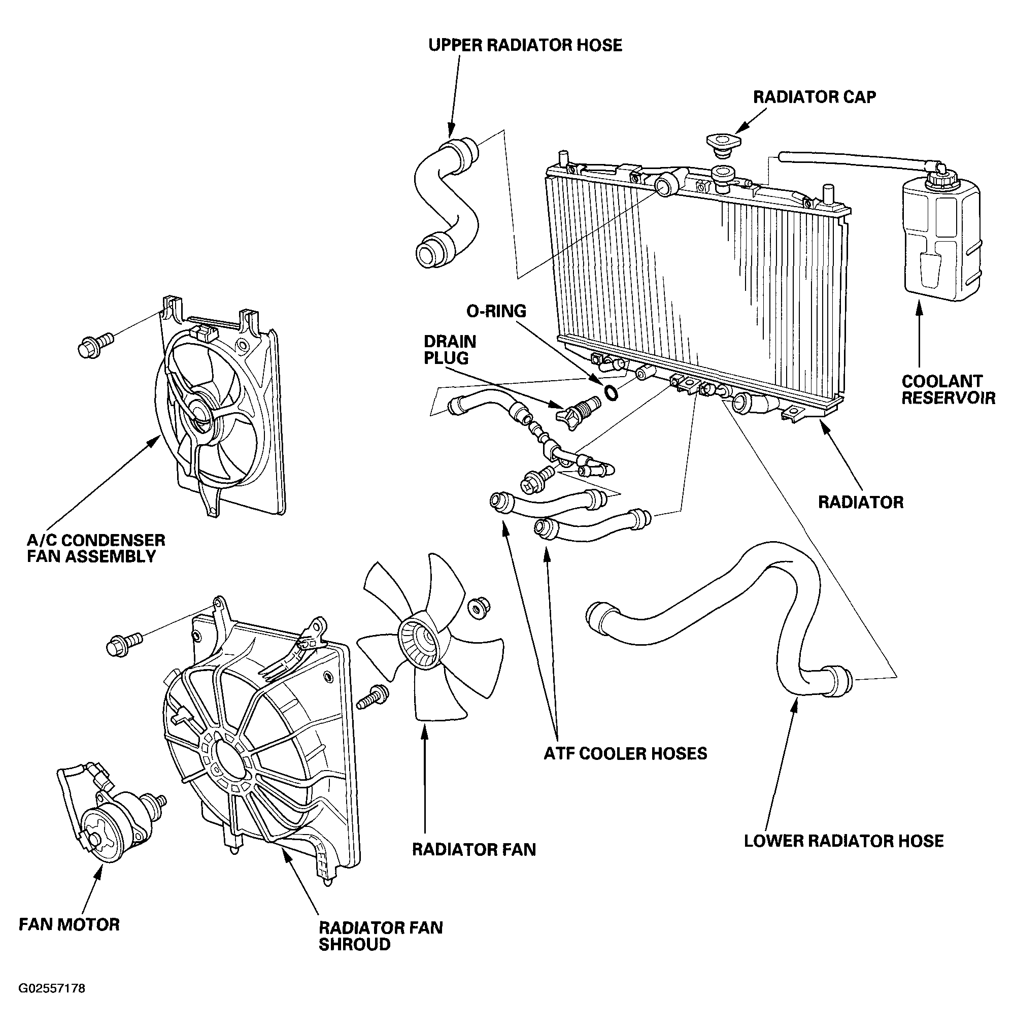 G02557178
