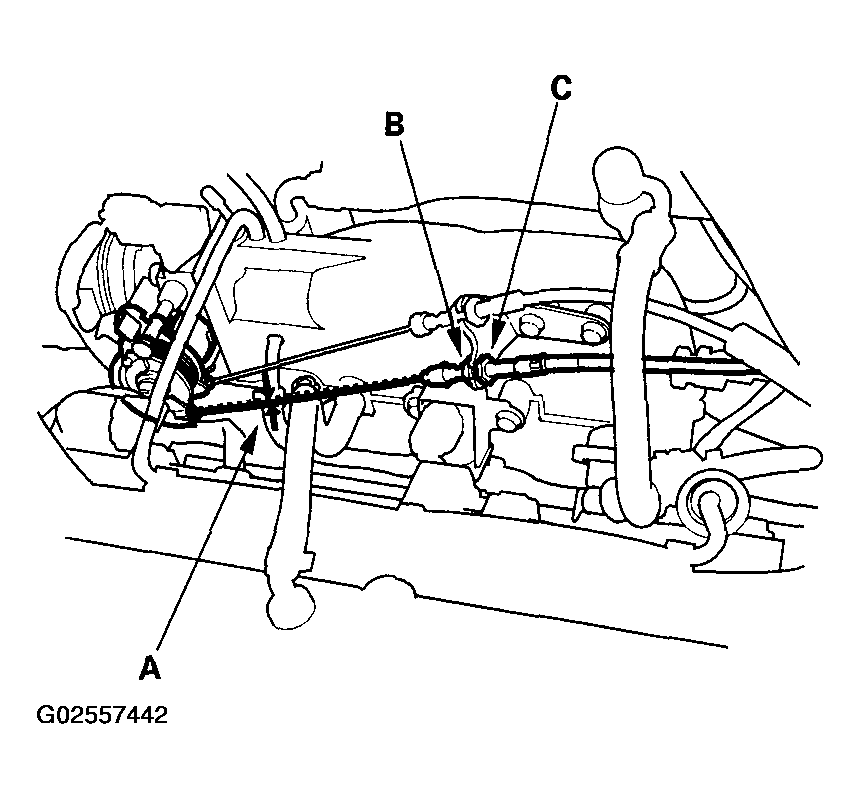 G02557442