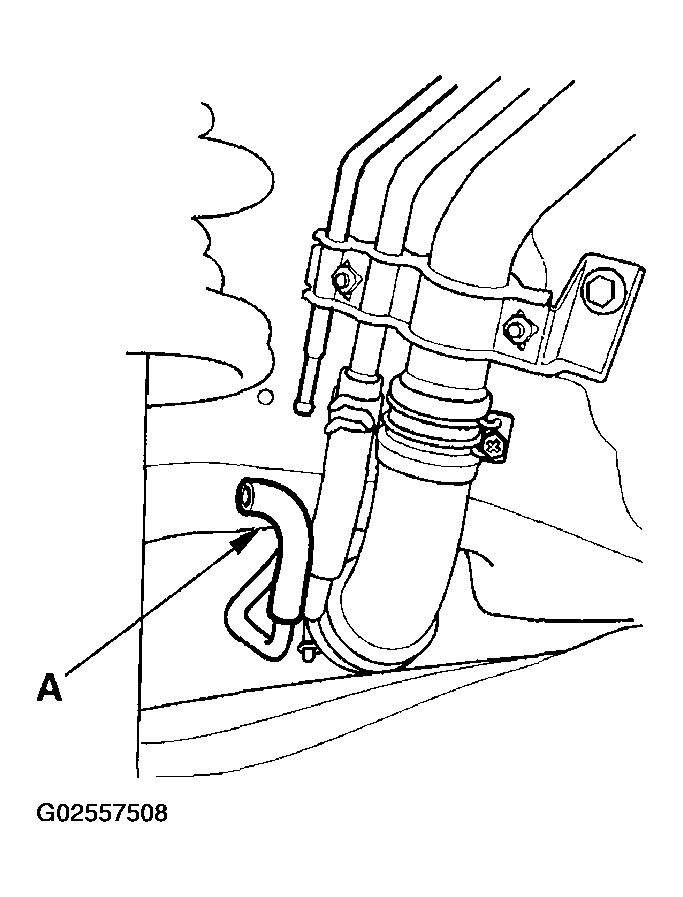 G02557508