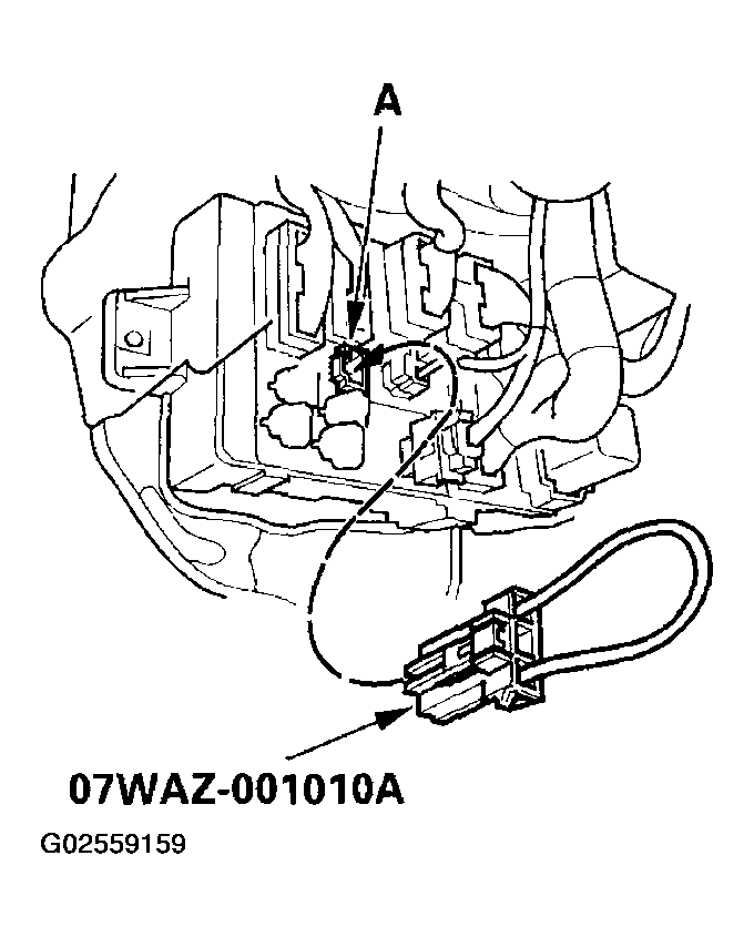 G02559159