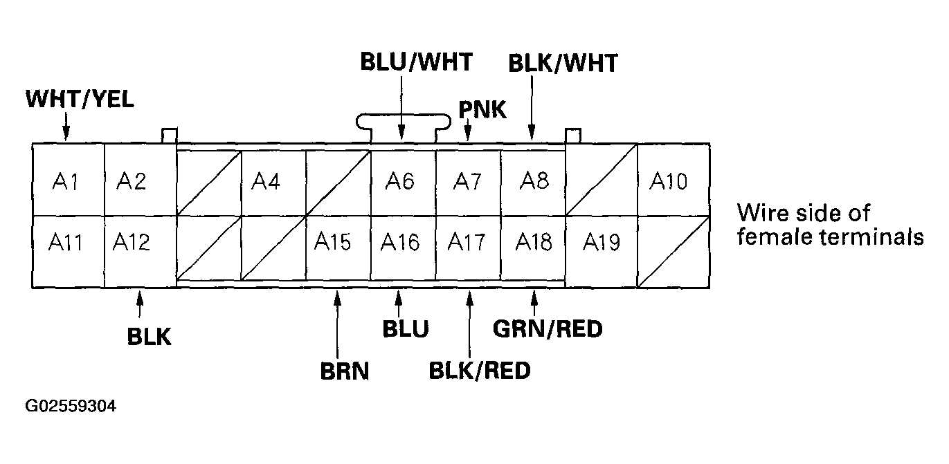 G02559304