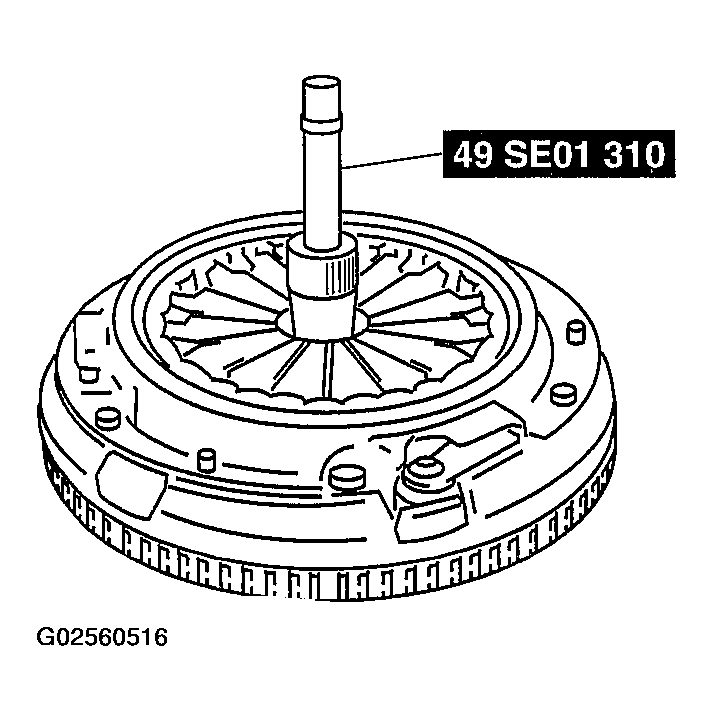 G02560516