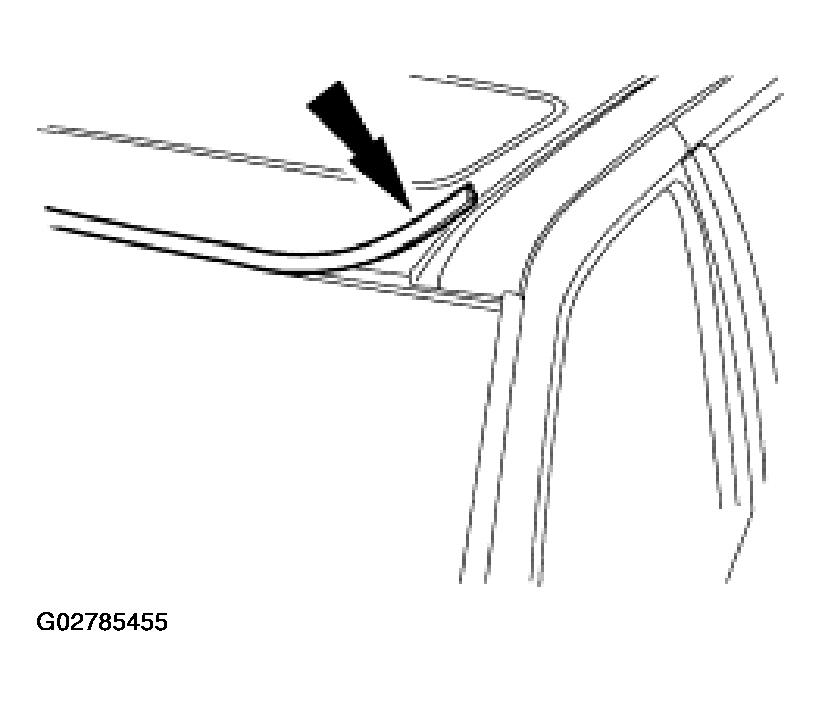 G02785455