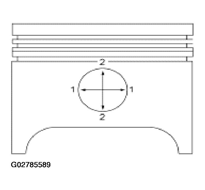 G02785589