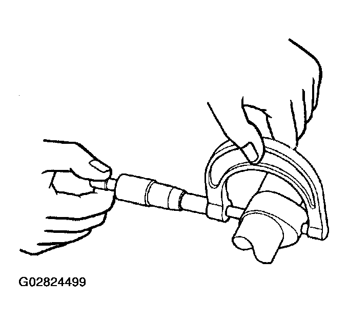 G02824499