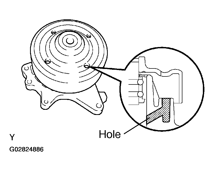 G02824886