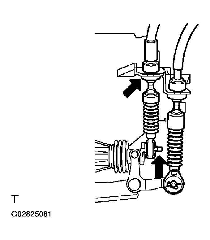 G02825081
