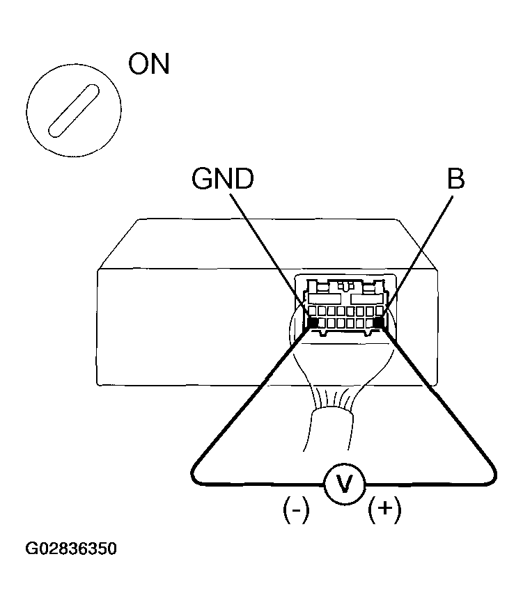 G02836350