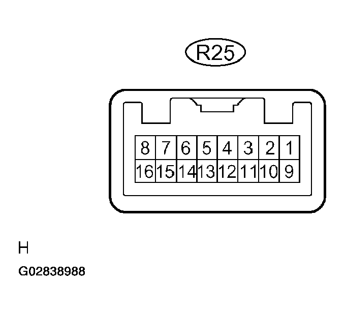 G02838988