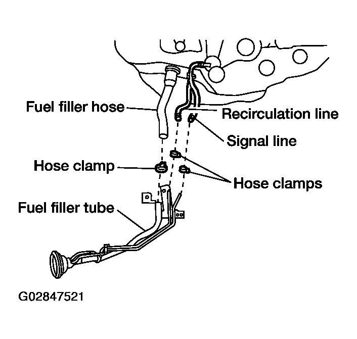 G02847521