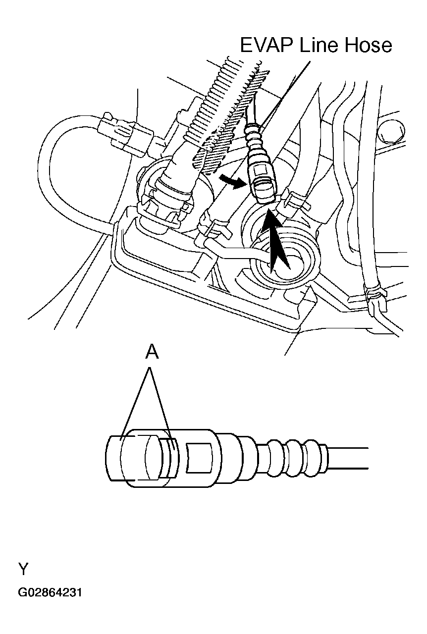 G02864231