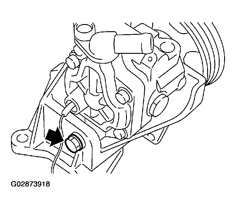 G02873918