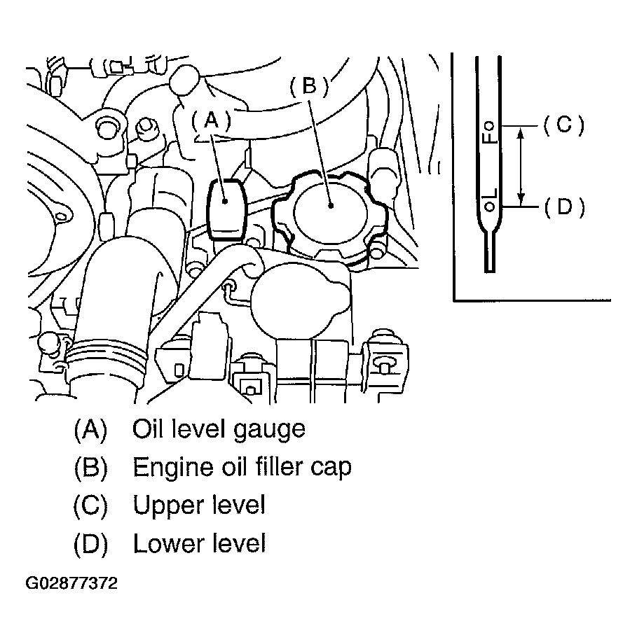 G02877372