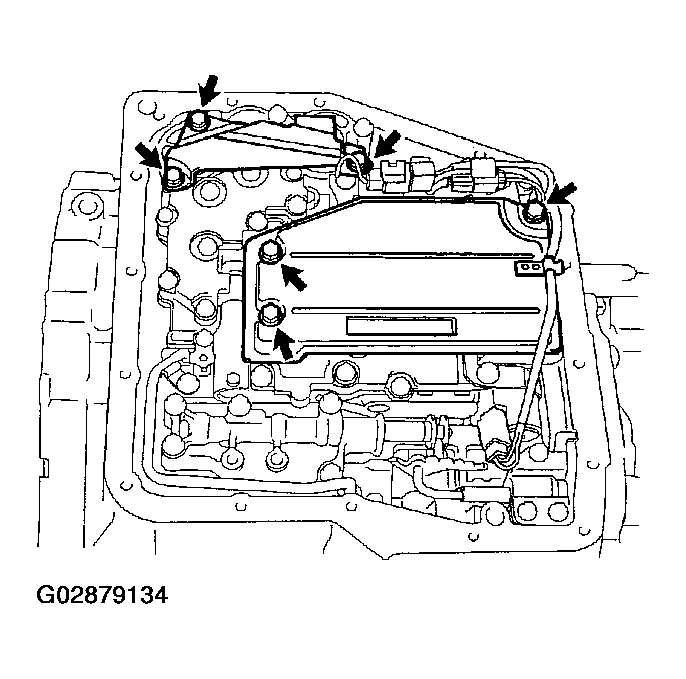G02879134