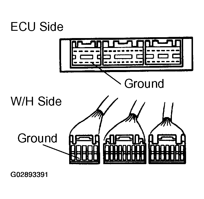 G02893391