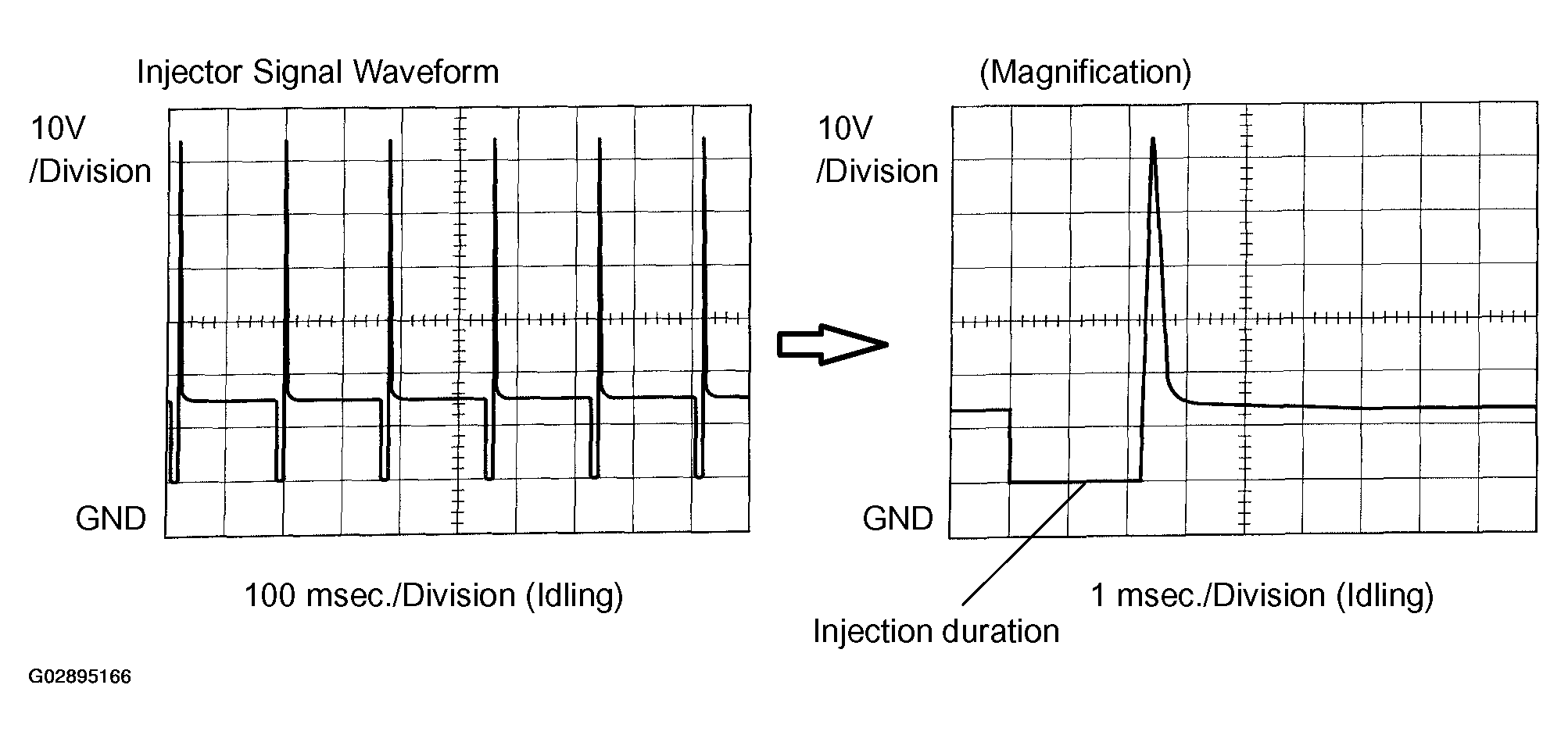 G02895166