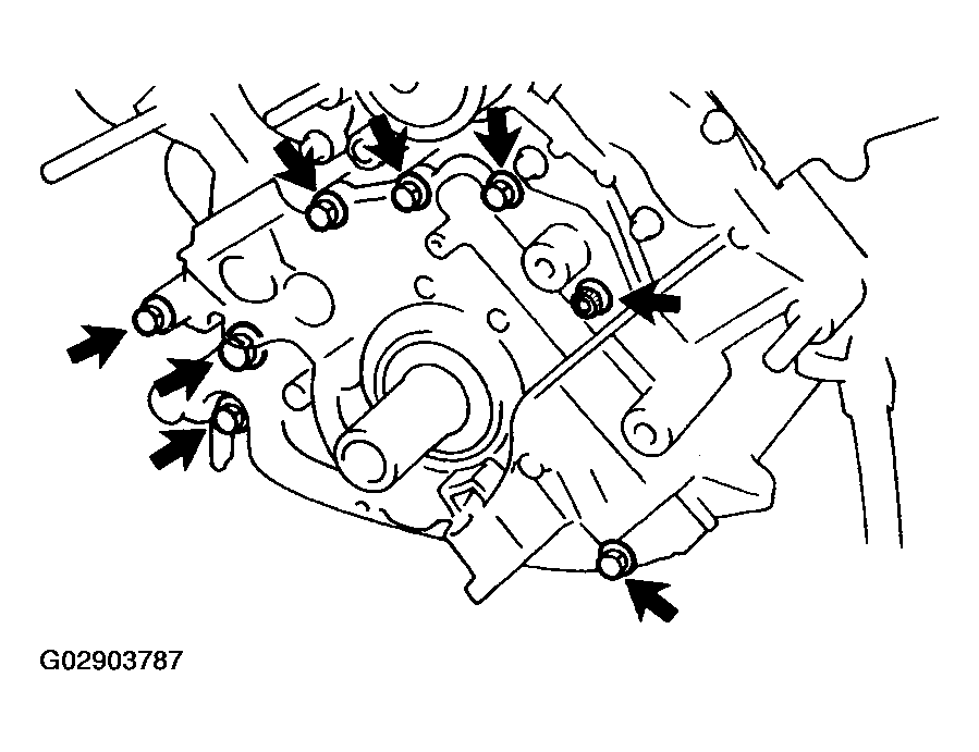 G02903787