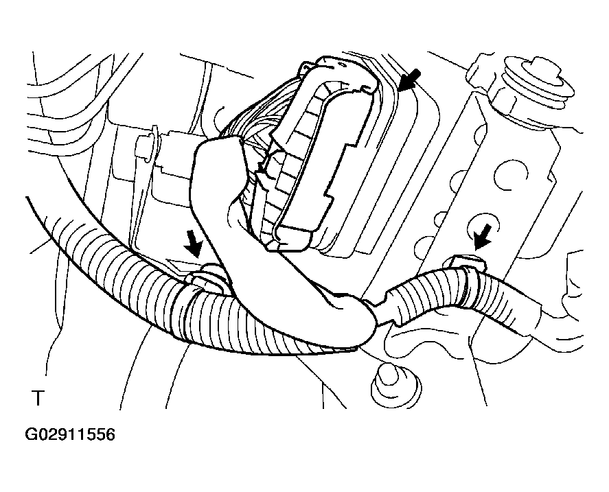 G02911556