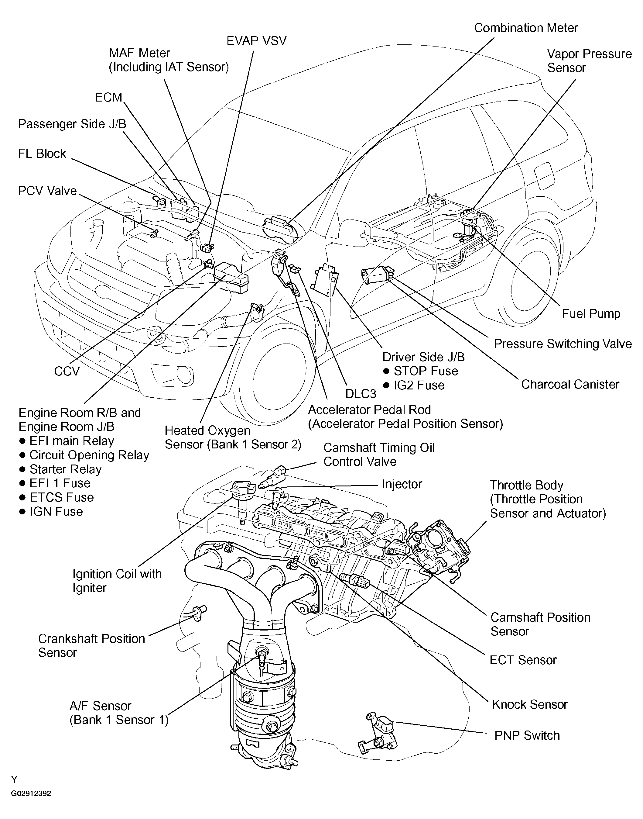 G02912392