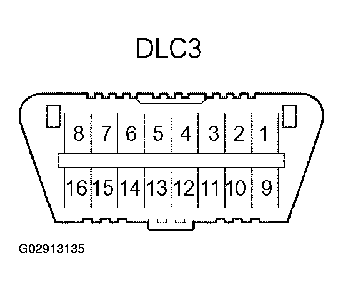 G02913135