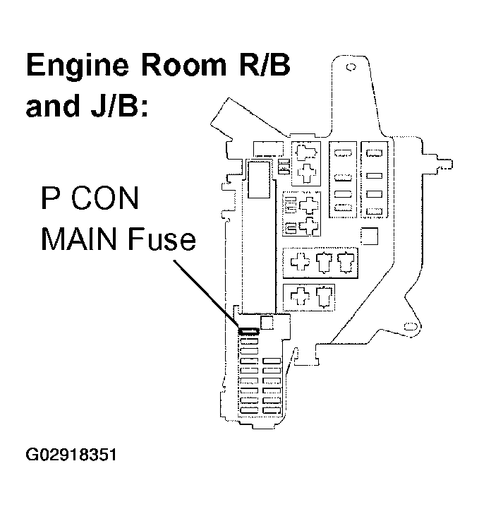 G02918351