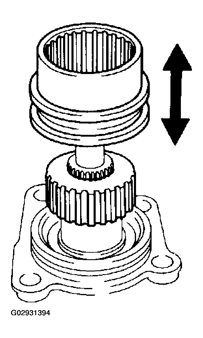 G02931394