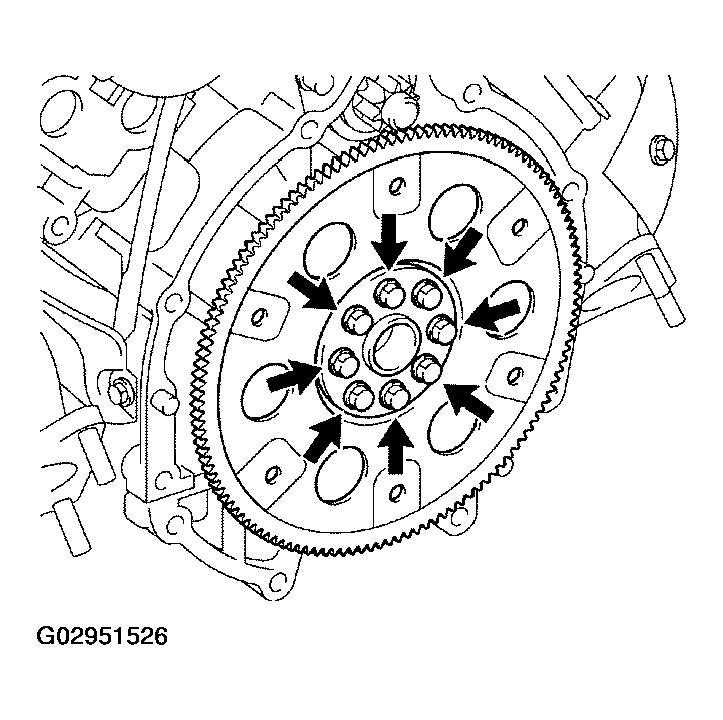 G02951526