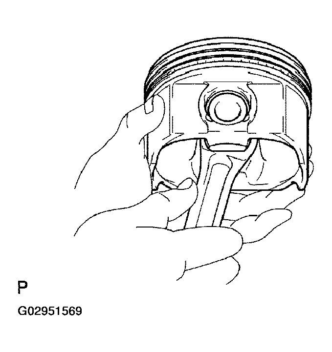 G02951569