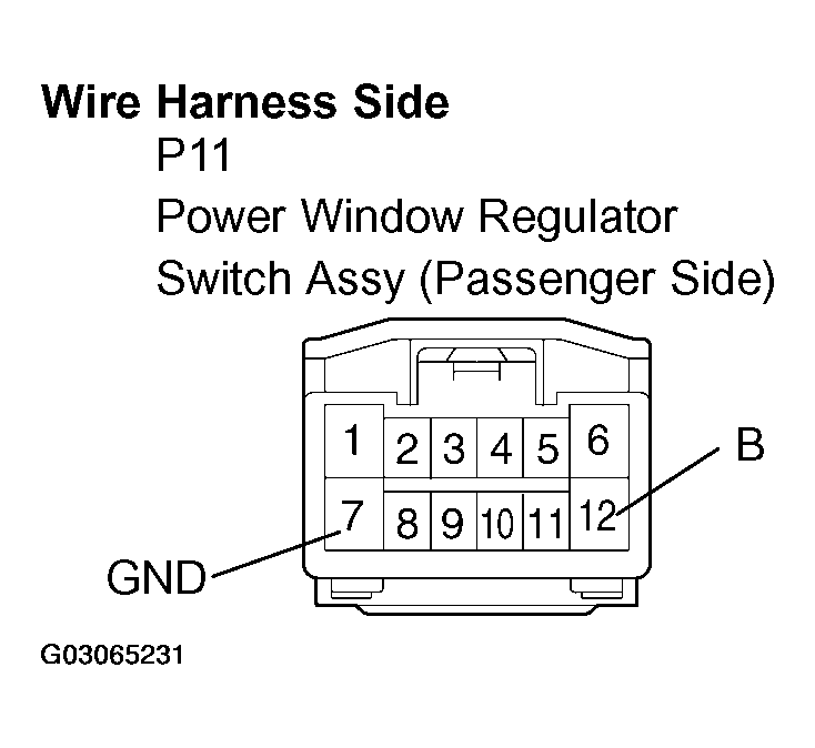 G03065231