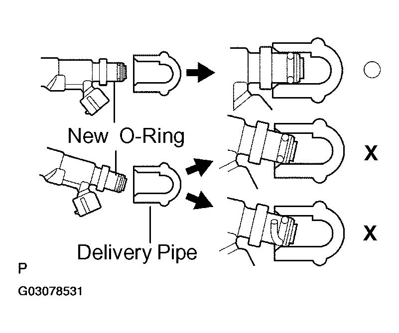 G03078531