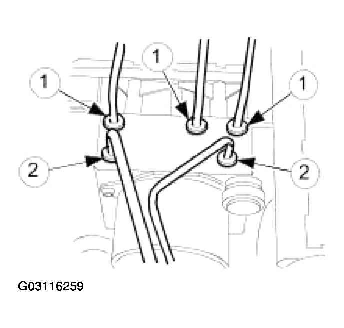 G03116259