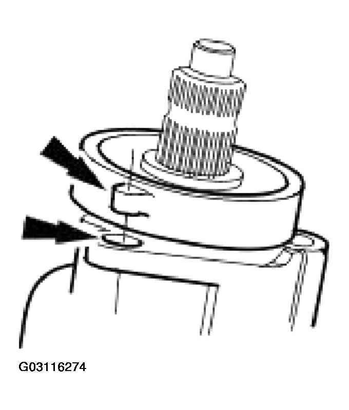 G03116274