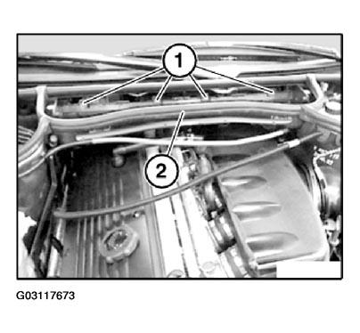 G03117673