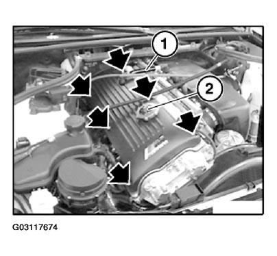 G03117674