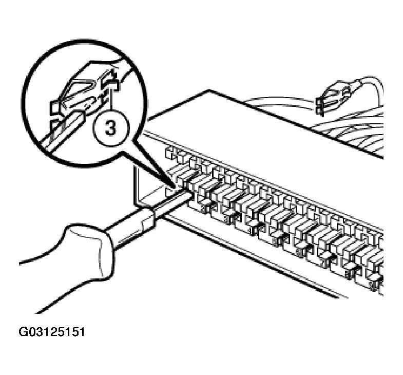 G03125151