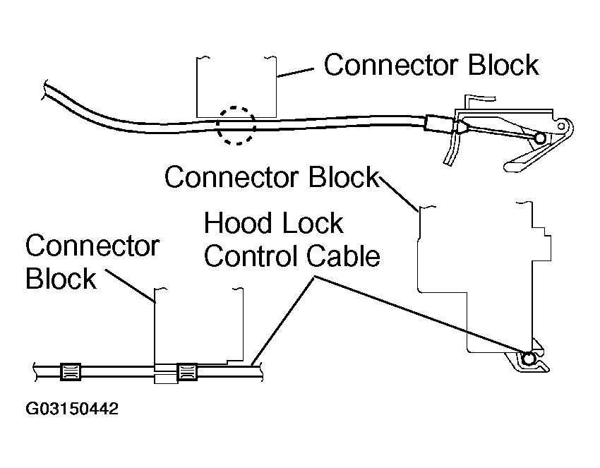G03150442