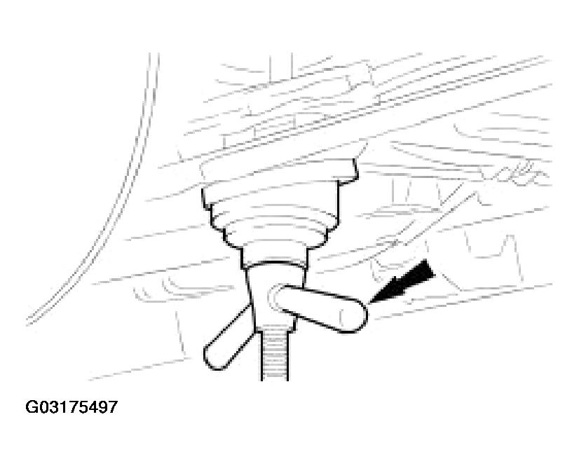 G03175497
