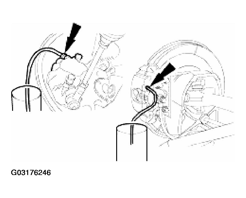 G03176246