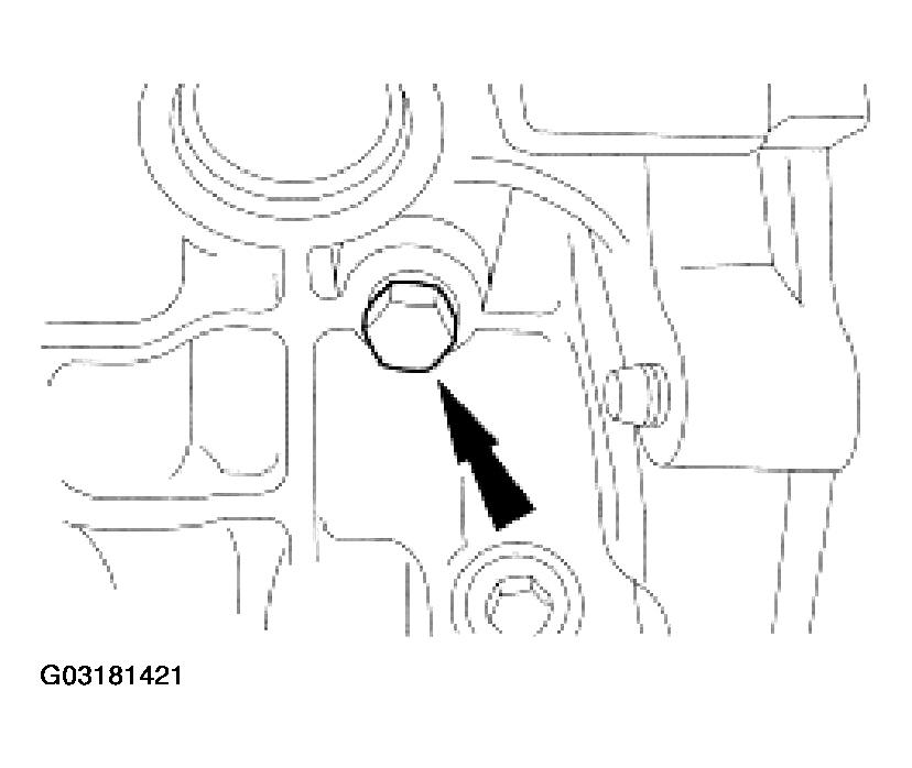G03181421