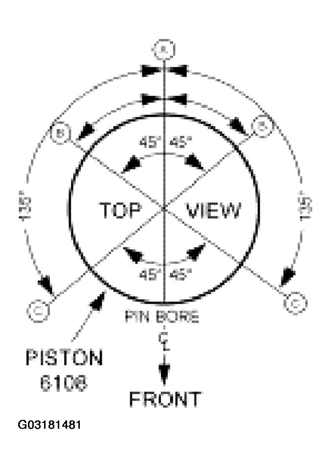 G03181481