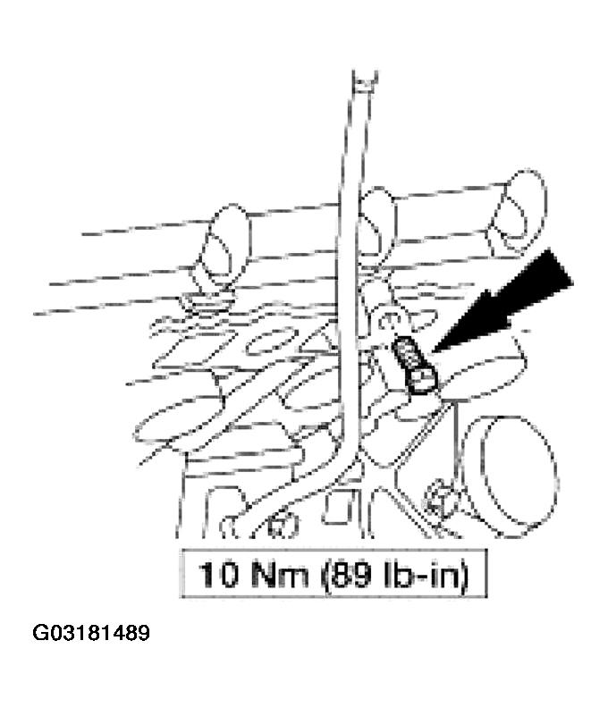 G03181489