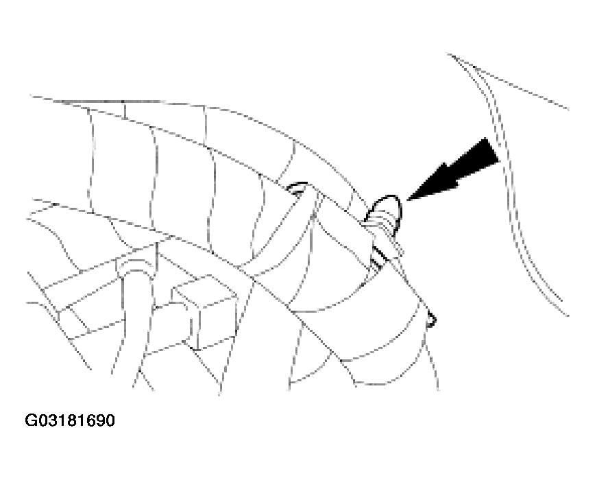 G03181690