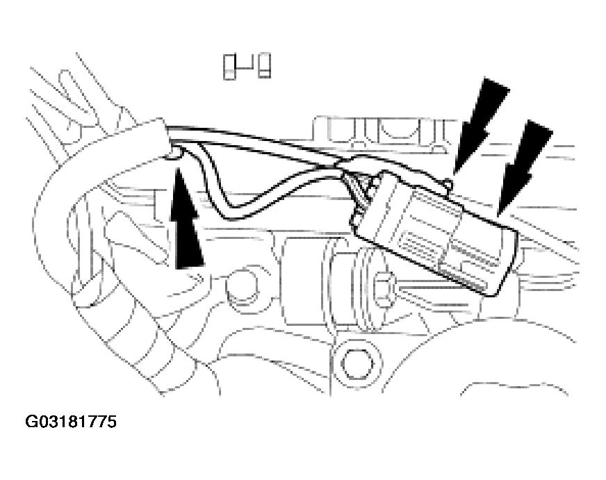 G03181775