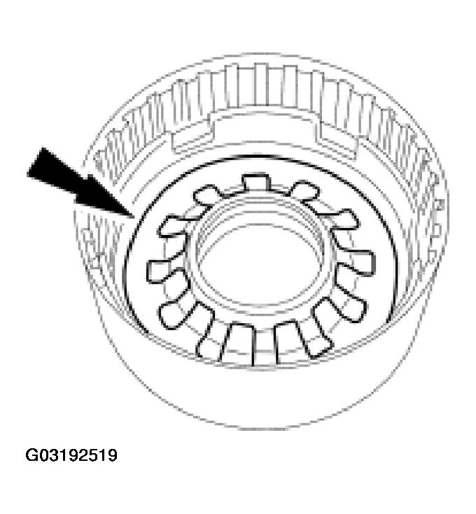 G03192519