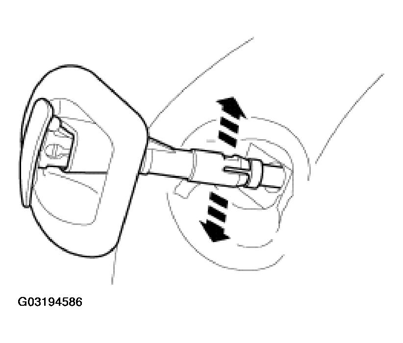 G03194586