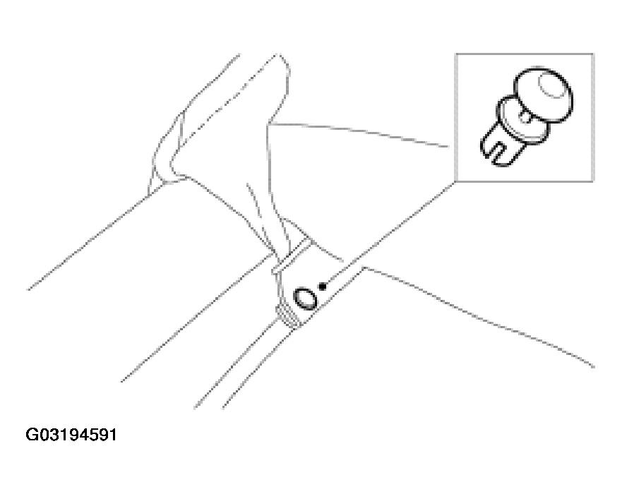 G03194591